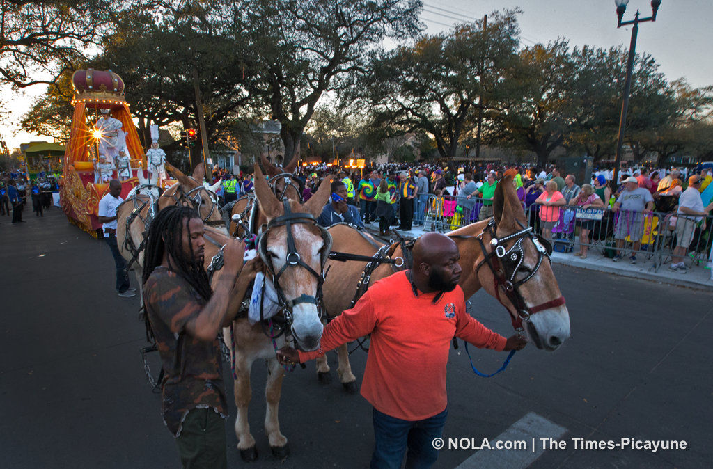 Knights of Babylon 2017 rolls in New Orleans: See Mardi Gras parade photos